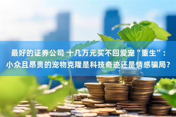 最好的证券公司 十几万元买不回爱宠“重生”：小众且昂贵的宠物克隆是科技奇迹还是情感骗局？